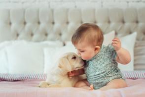 Em bé và cún cưng: Cuộc gặp gỡ đầu tiên diễn ra như thế nào?
