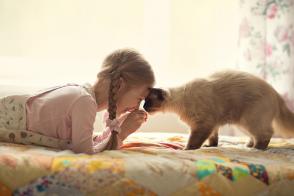 Giao tiếp và chơi đùa với mèo – Huấn luyện mèo nghe tiếng gọi