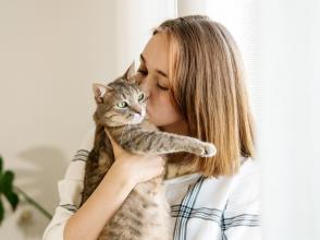 Mèo có hiểu khi được hôn không?