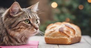 Mèo có ăn bánh mì không? Mèo ăn bánh mì có hại không?