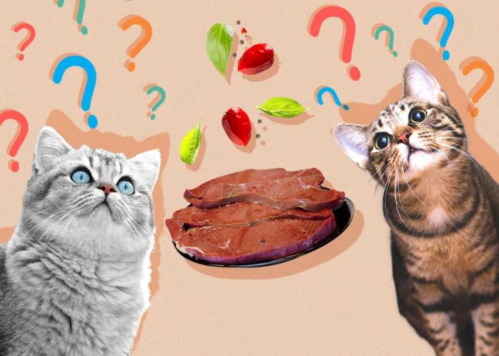 Mèo ăn gan có tốt không? Có thể cho mèo ăn gan được không?