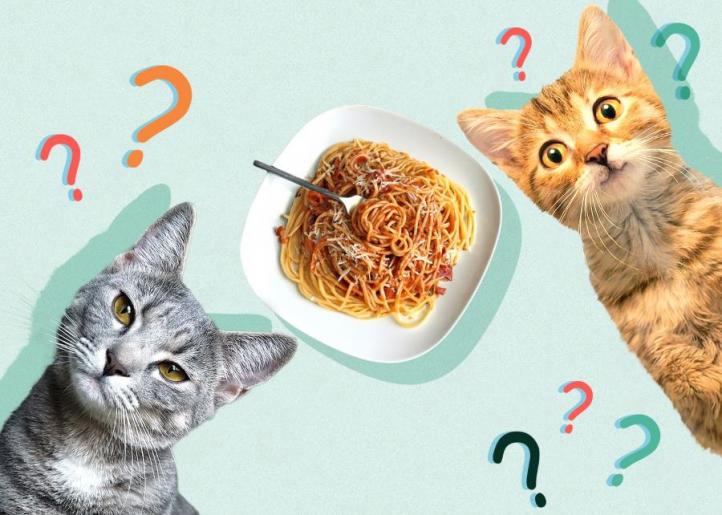 Mèo có thể ăn mì ống không?